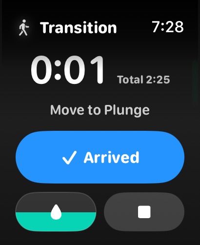 Phyros transition screen showing move to plunge
